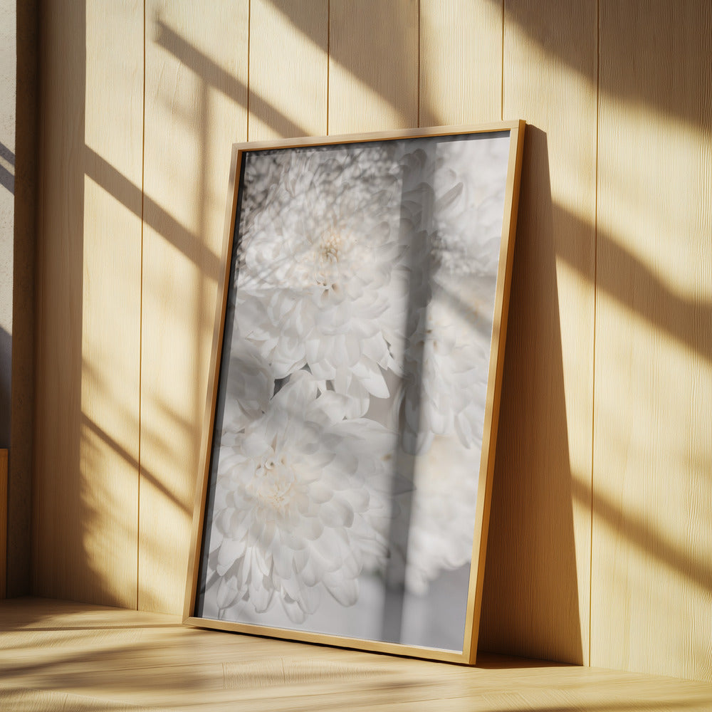 White Flowers 2 | Poster