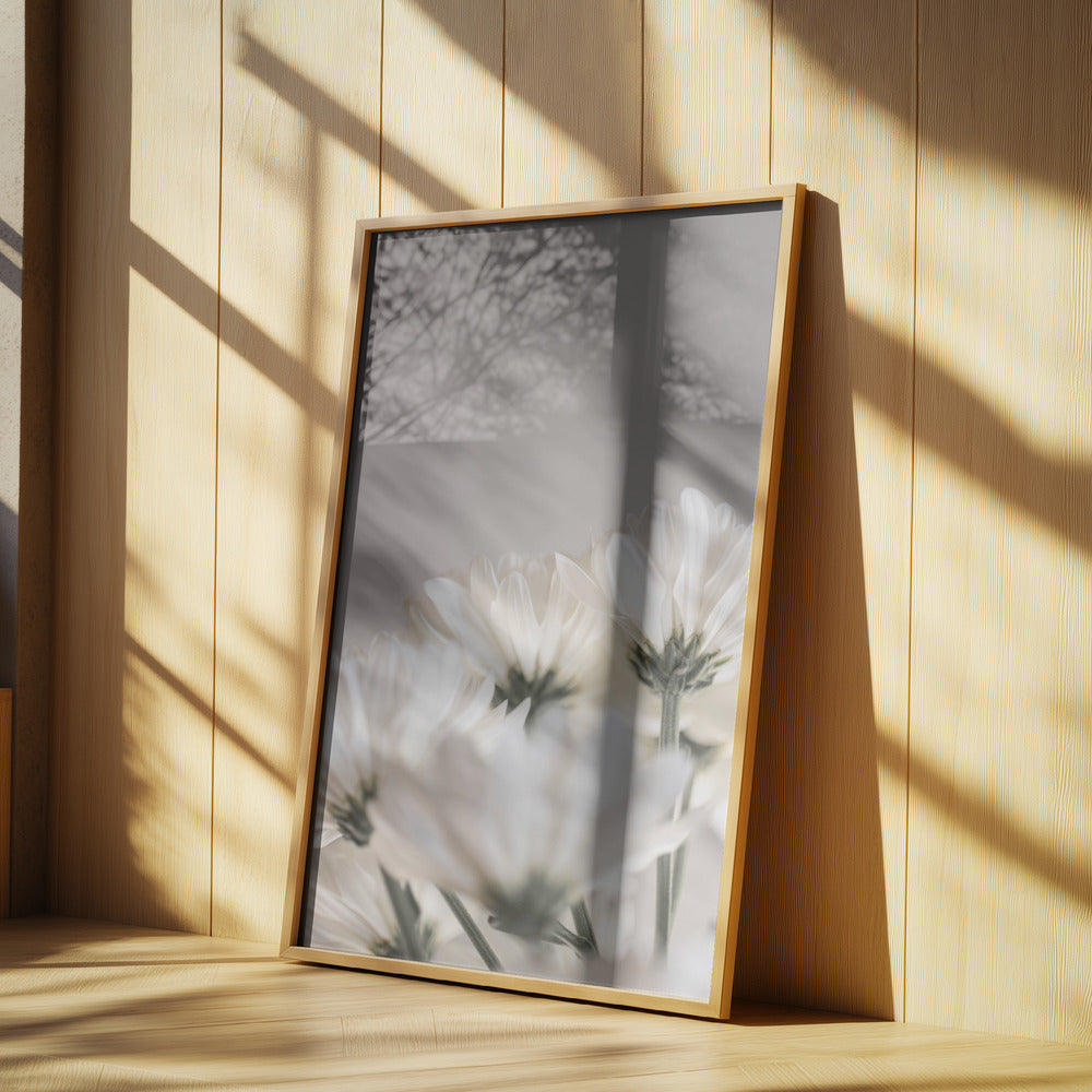 White Flowers 4 | Poster