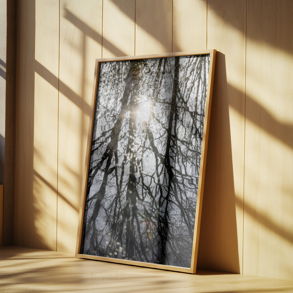 Winter Reflections 4 | Poster