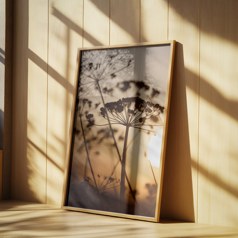 Golden Hour 1 | Poster