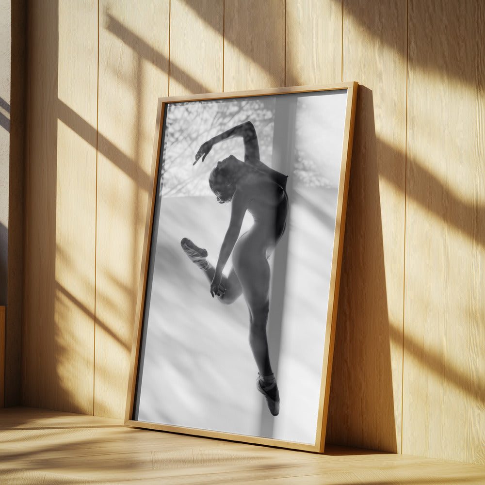 Fine Art Dance ... | Poster