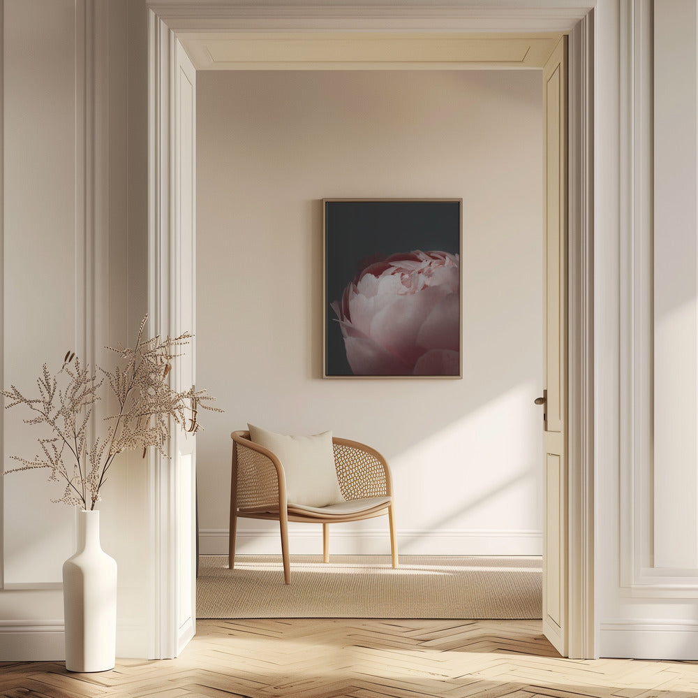 Moody blush peony II | Poster