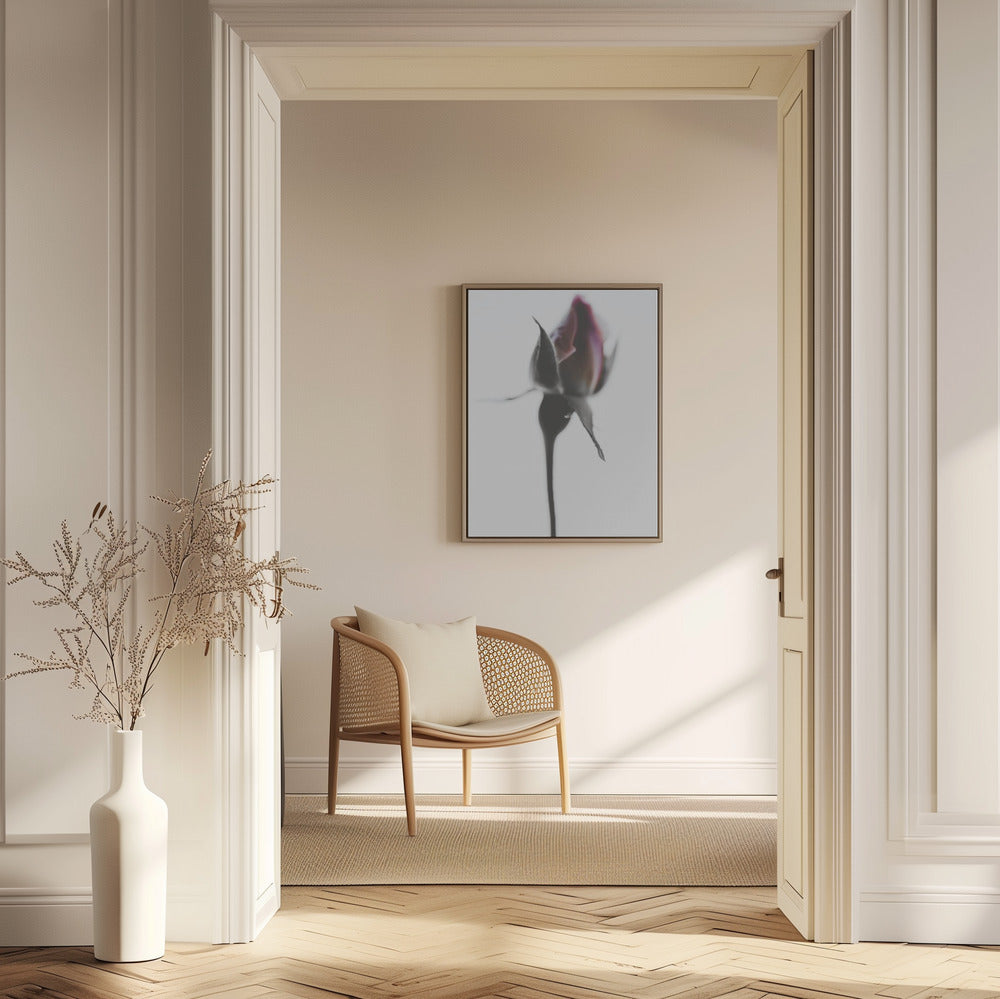 Elegant Rose | Poster