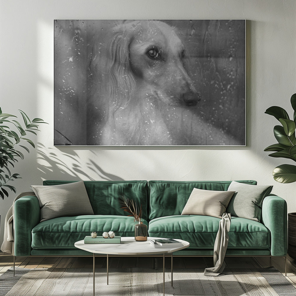 Höst | Canvas
