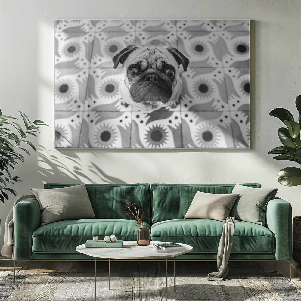 Vudú | Canvas