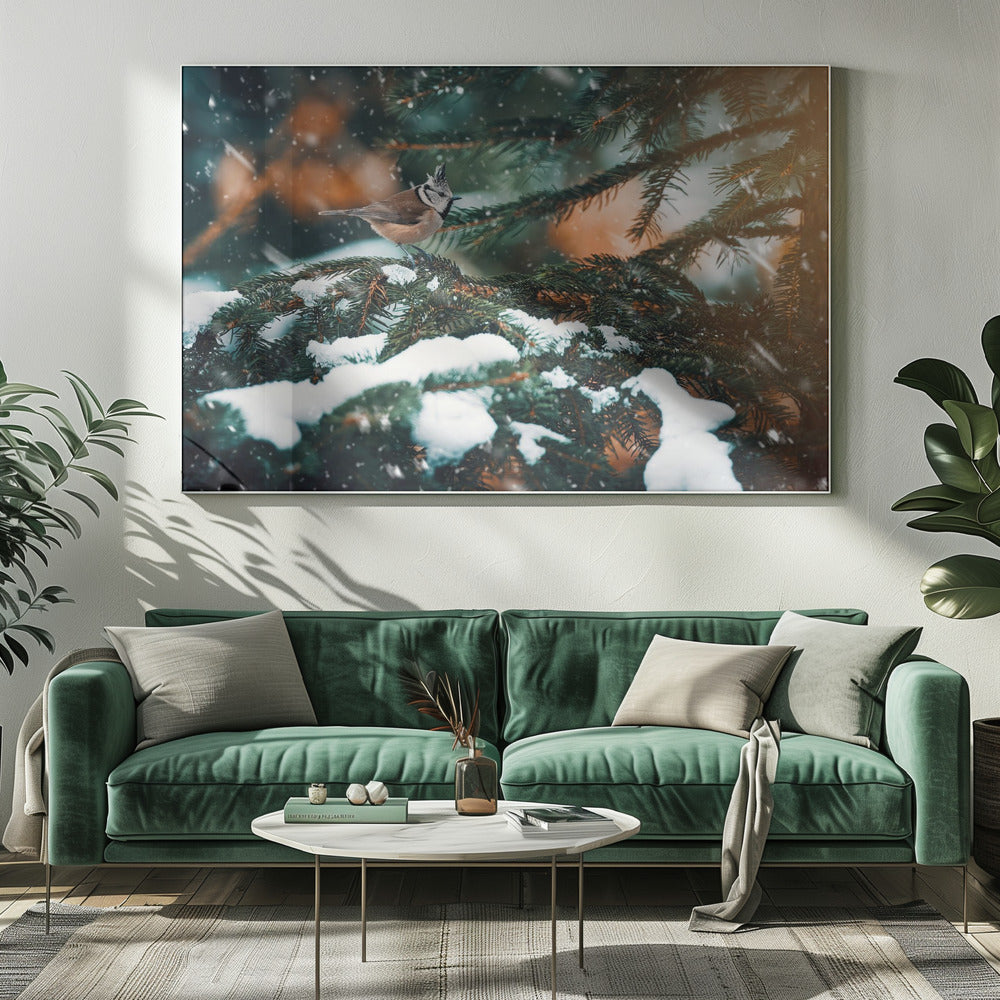 Punky | Canvas