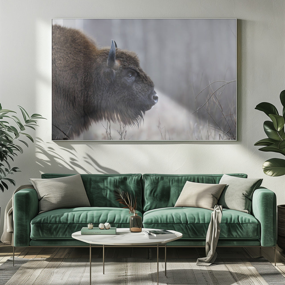 Profilo di Bison | Stampe su Tela