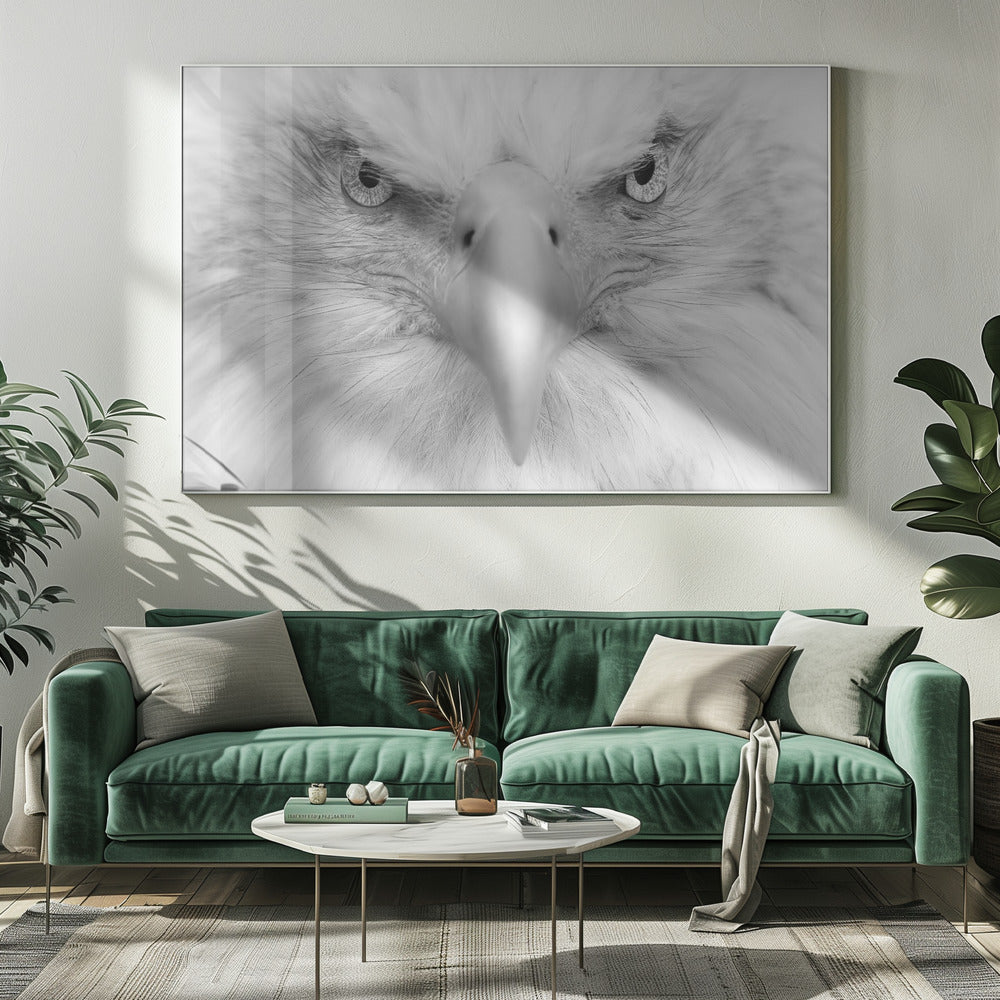 Yeux tueurs | Tableaux sur Toile