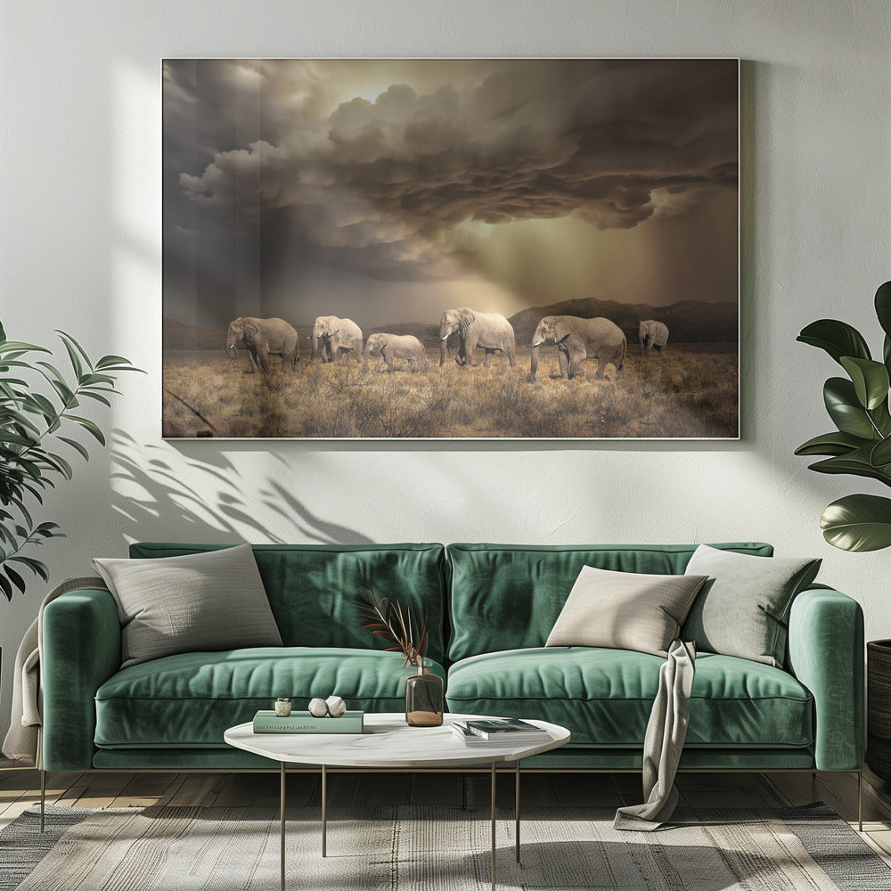 FriaElefanter | Canvas