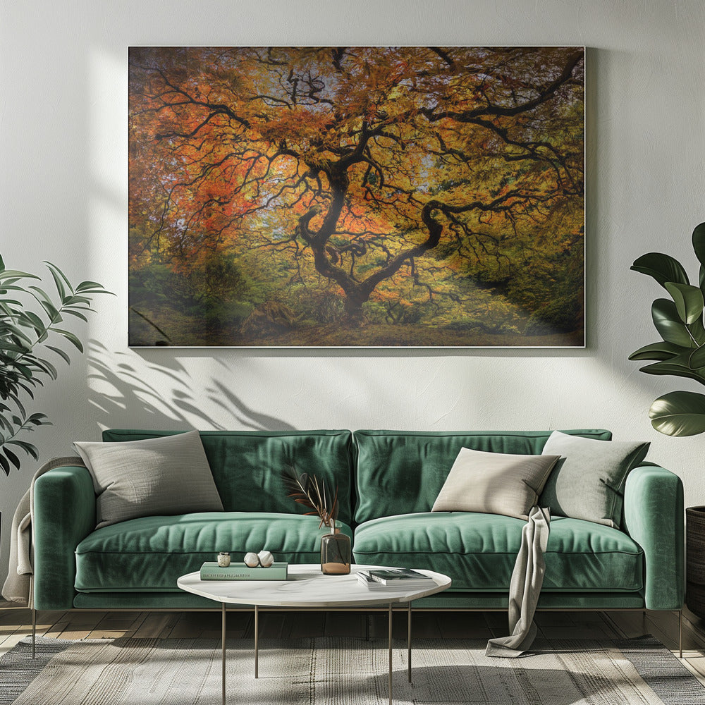 Der Ahornbaum | Leinwand-Bilder