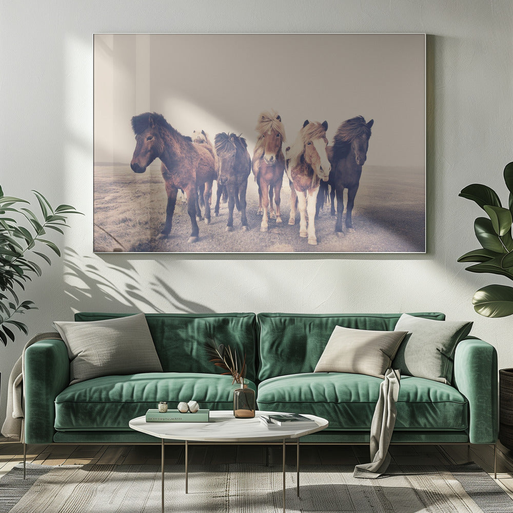 Pferde | Leinwand-Bilder