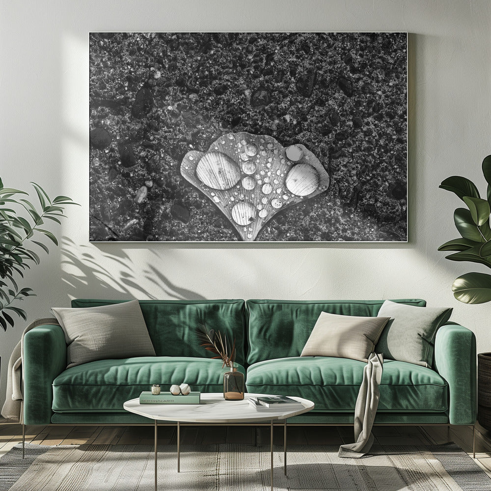 Dew | Canvas