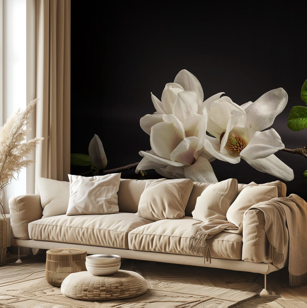Magnolia | Fototapet