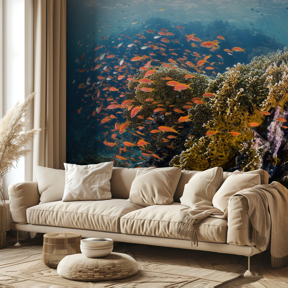 Reefscape | Fototapeter