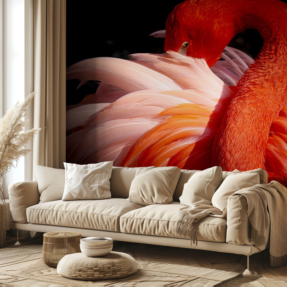 Flamingo | Fototapeten