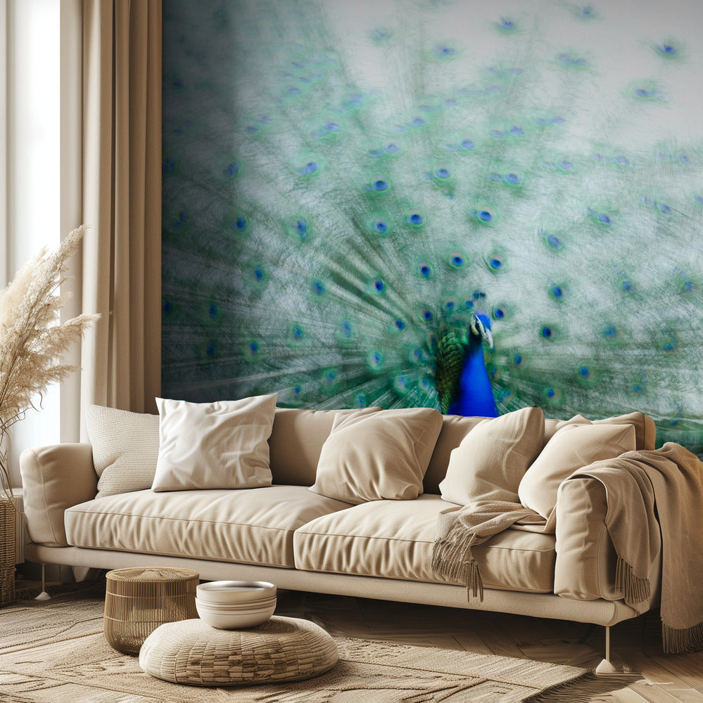 Peacock | Wallpaper