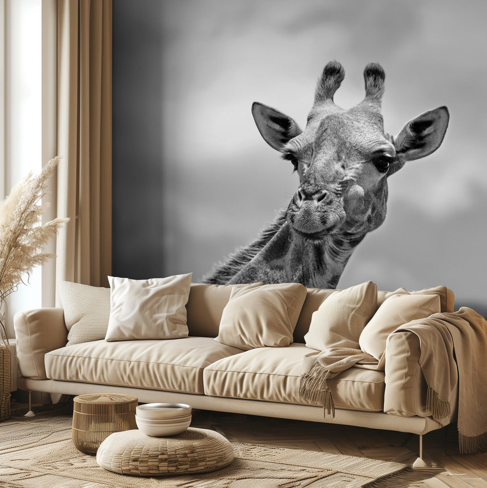 The giraffe - Wildlife V | Wallpaper