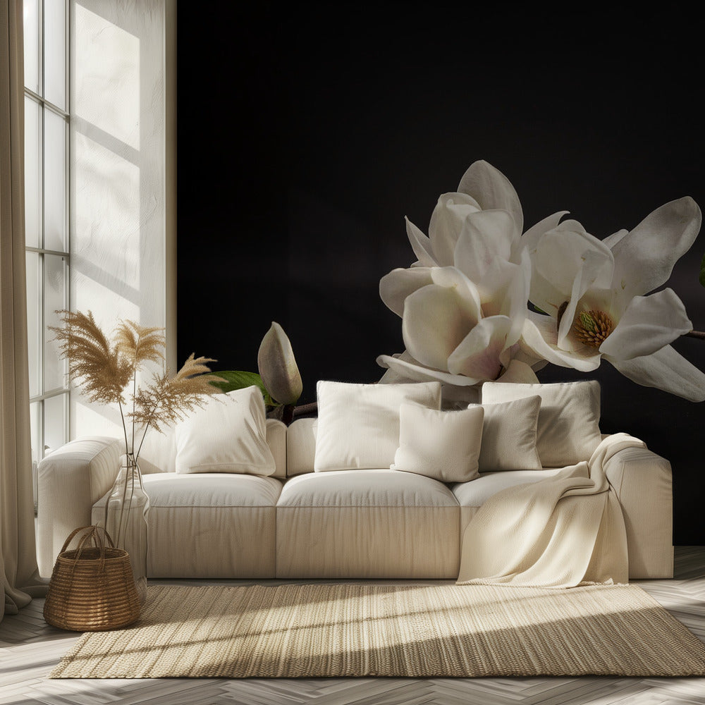 Magnolia | Fototapet