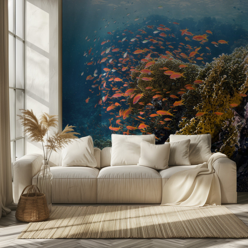 Reefscape | Fototapeter