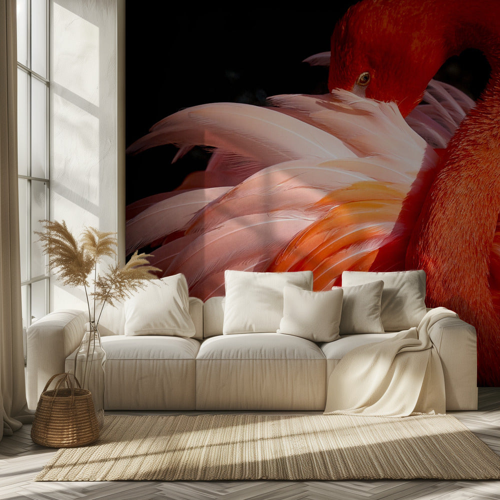 Flamingo | Fototapeten