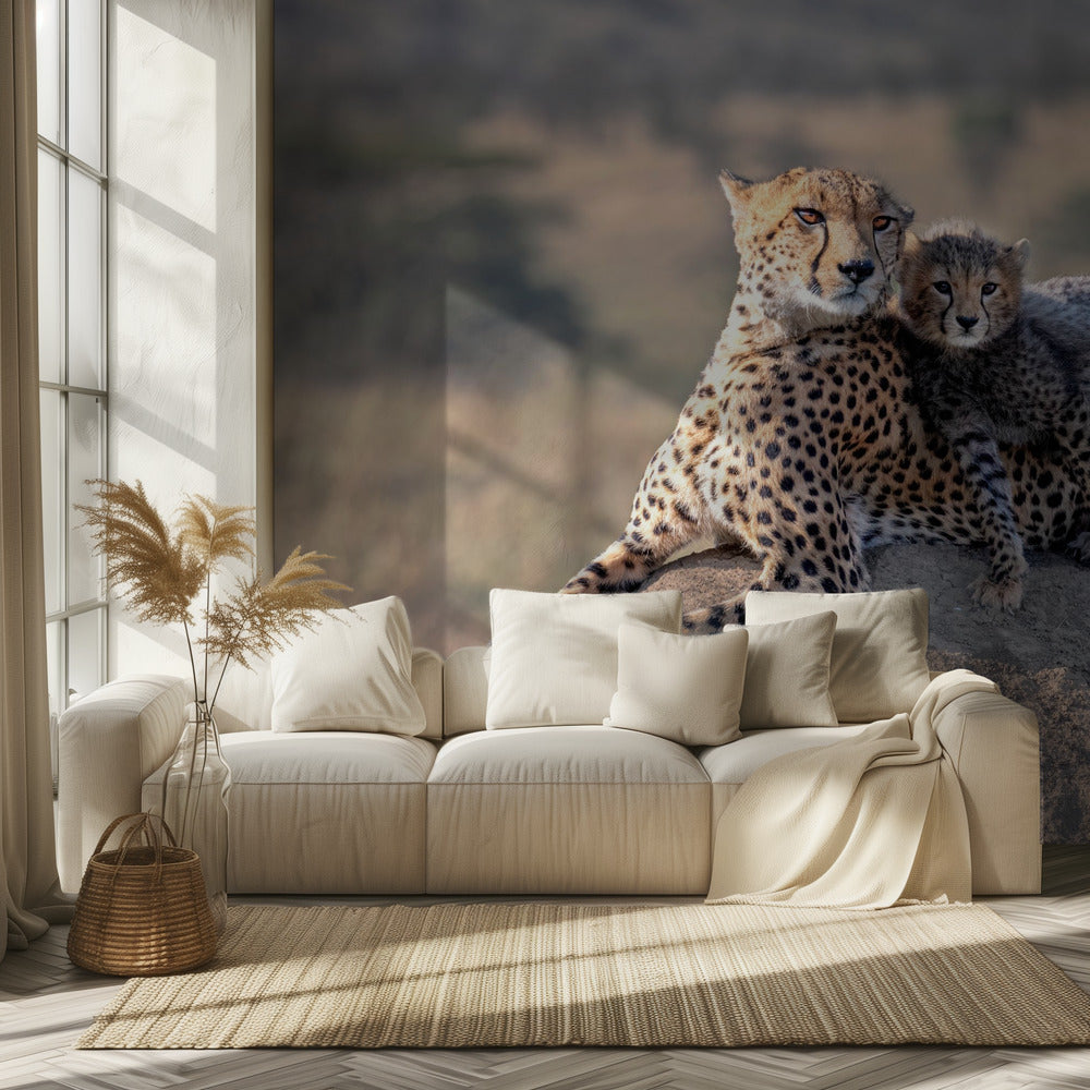 Gepard und Tasse! | Fototapeten
