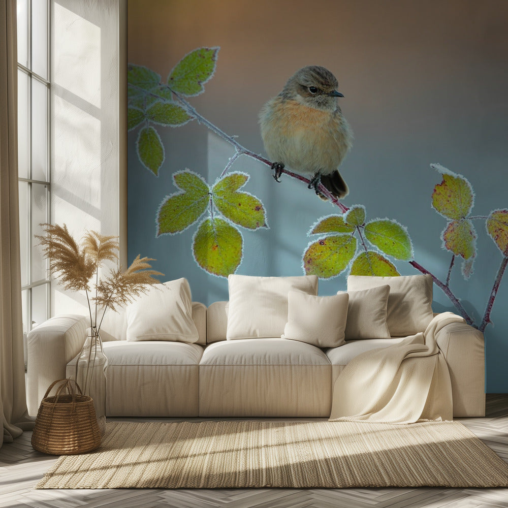 Colores de invierno | Papel Pintado Fotográfico