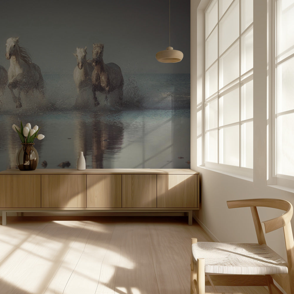 Konie Camargue | Fototapeta