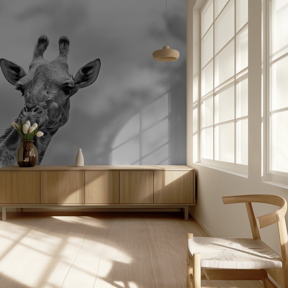 The giraffe - Wildlife V | Wallpaper