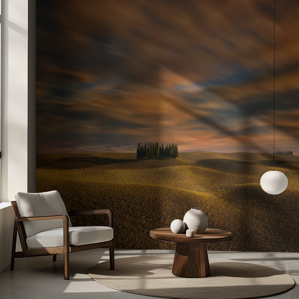 Cypresses... | Wallpaper