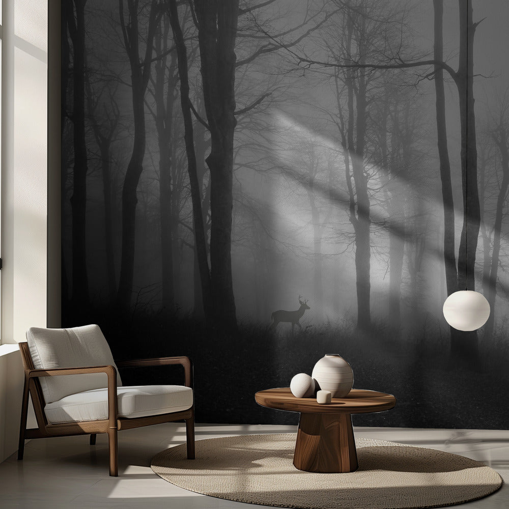 Wald | Fototapeten