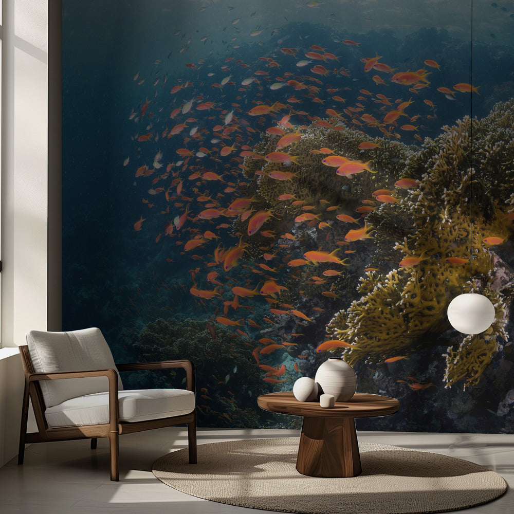 Reefscape | Fototapeter