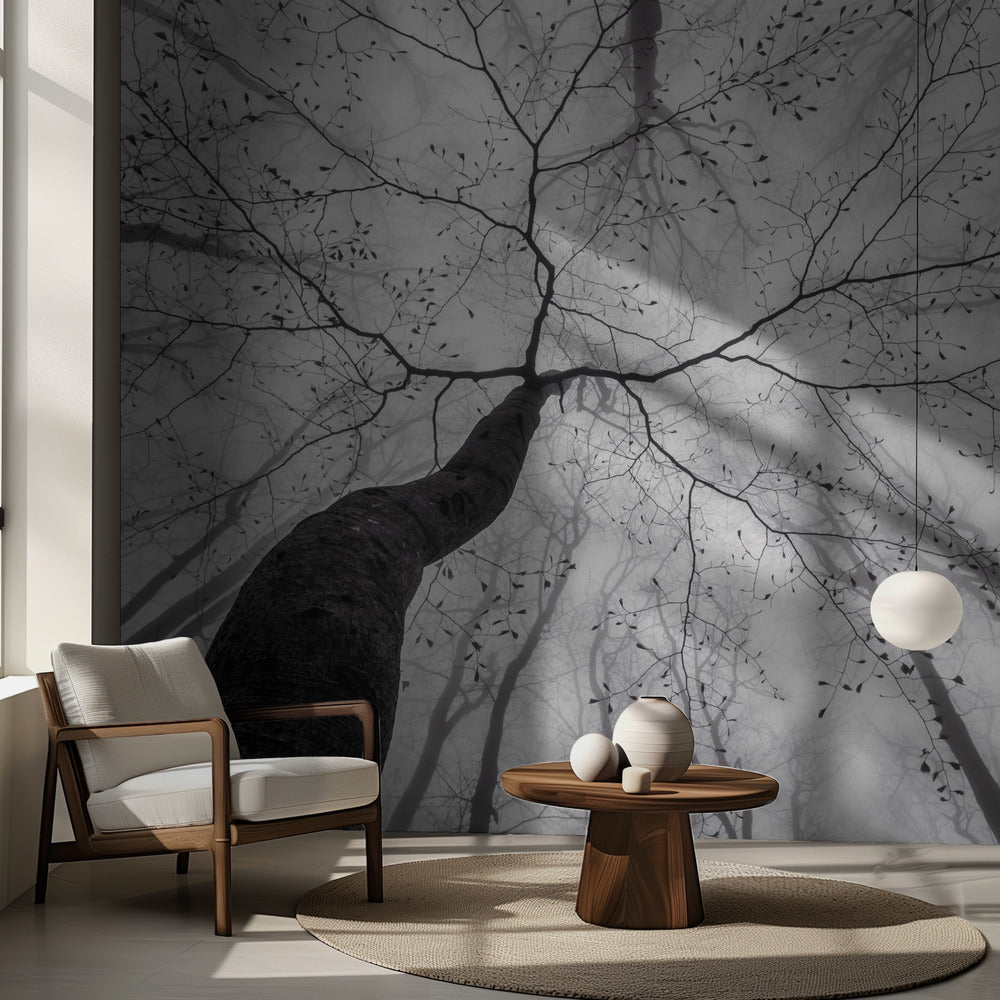 Una vista de la copa del árbol. Papel Pintado Fotográfico