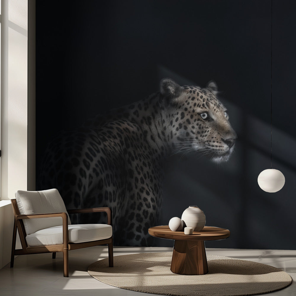 Imagination | Wallpaper