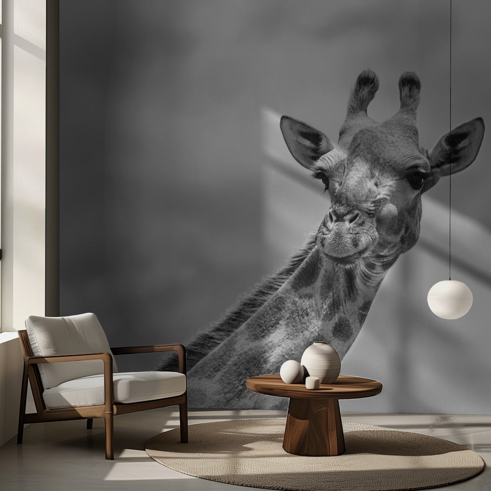 The giraffe - Wildlife V | Wallpaper