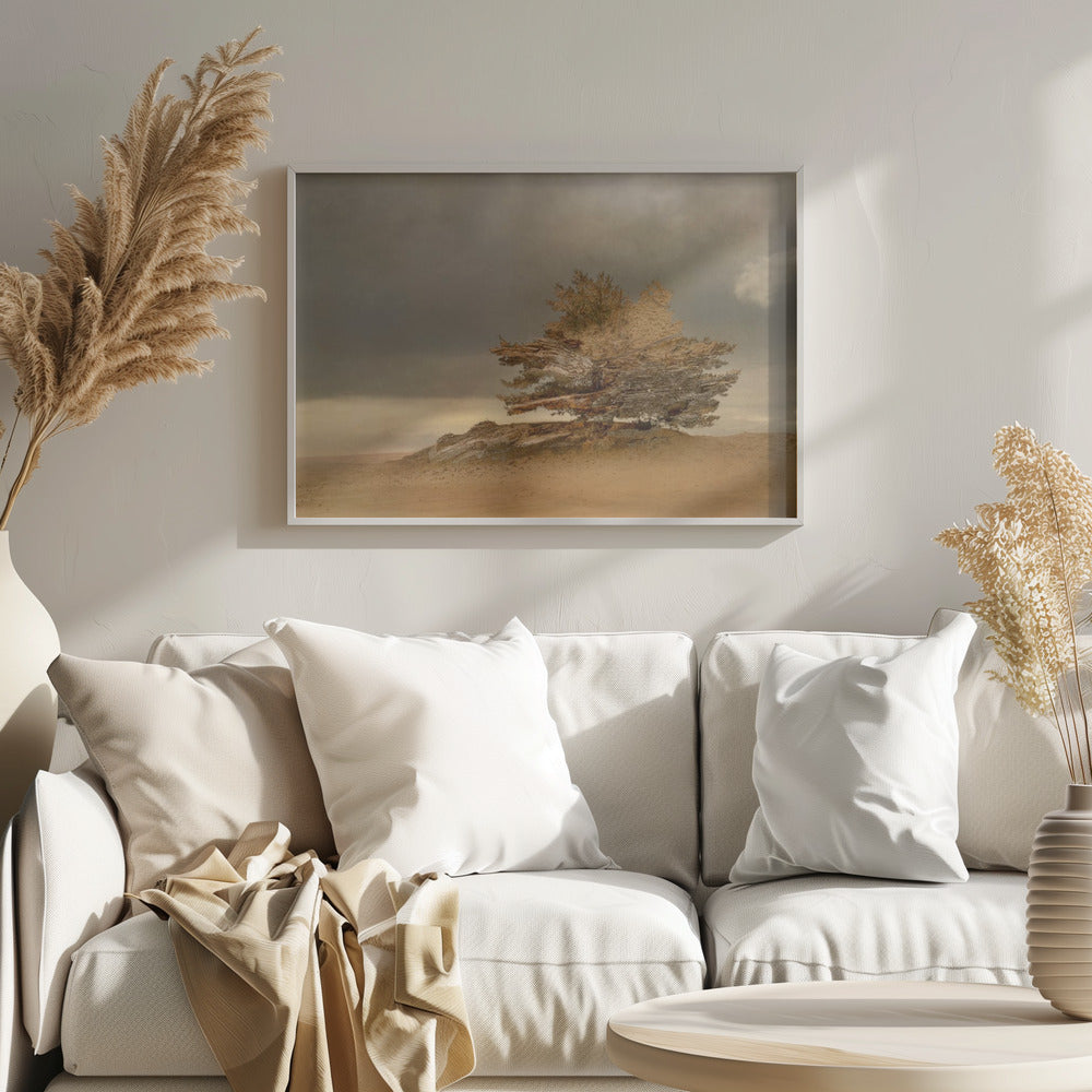 Pine and dunes | Poster