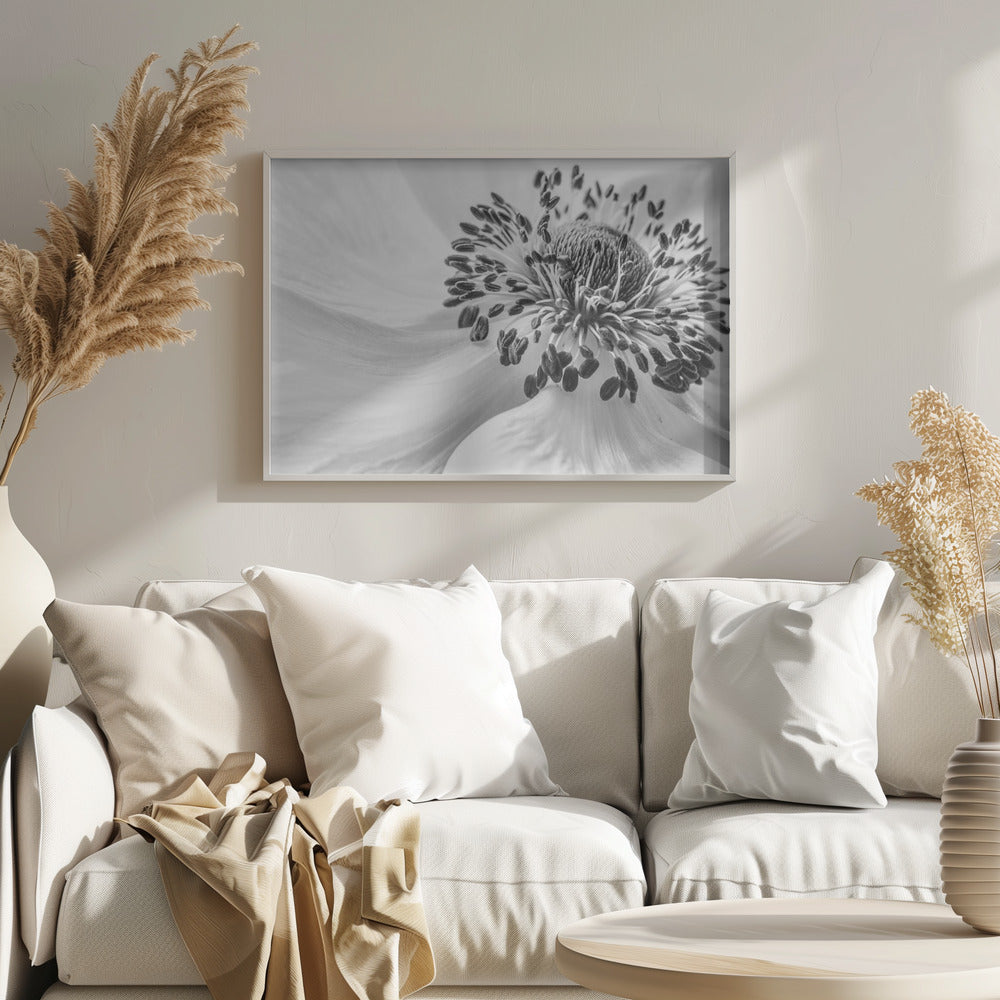 Anemone | Plakater - Kunsttryk