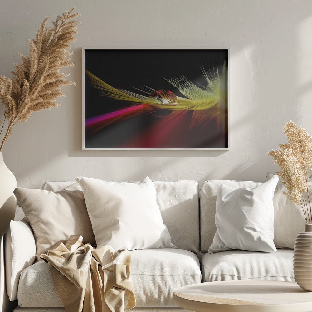 Colores en la gota | Posters  - Impresiones de Arte