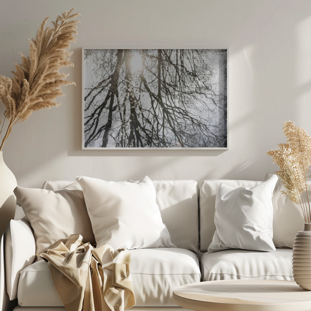 Winter Reflections 3 | Poster