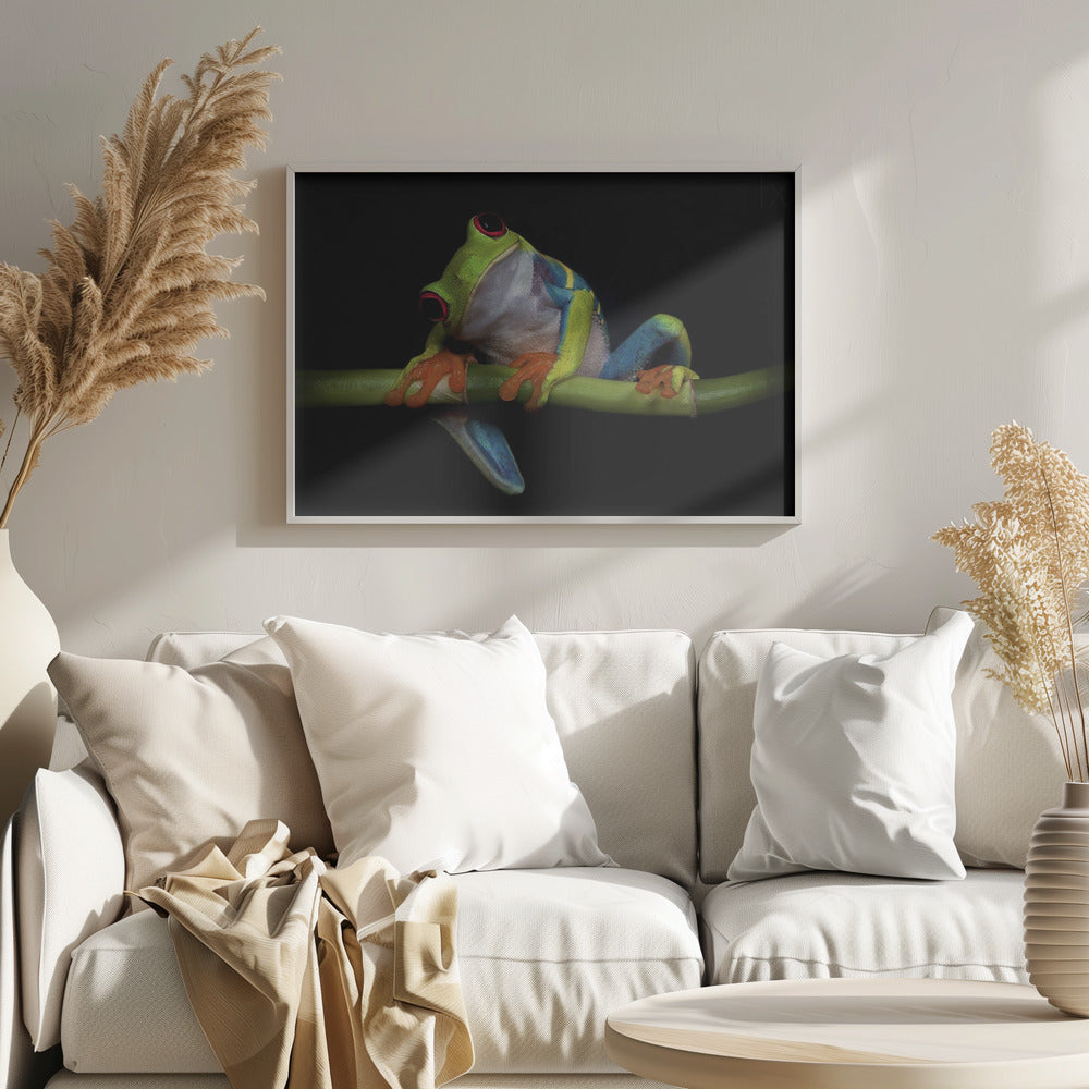 Nysgerrighed | Plakater - Kunsttryk