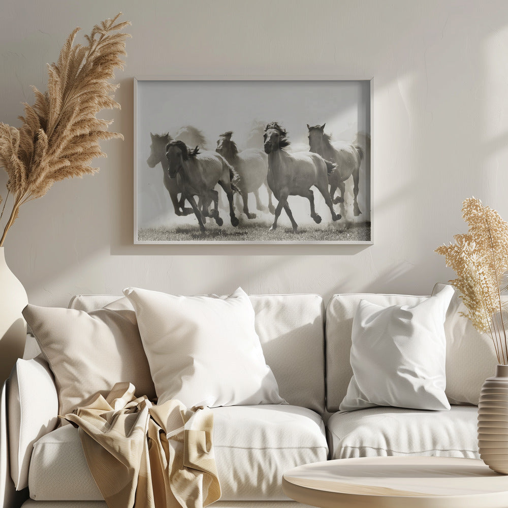 Cavallo | Poster - Stampe d’Arte
