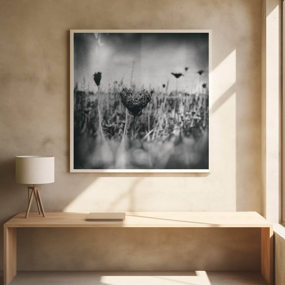 Nassplattenfotografie Natur 4 | Poster