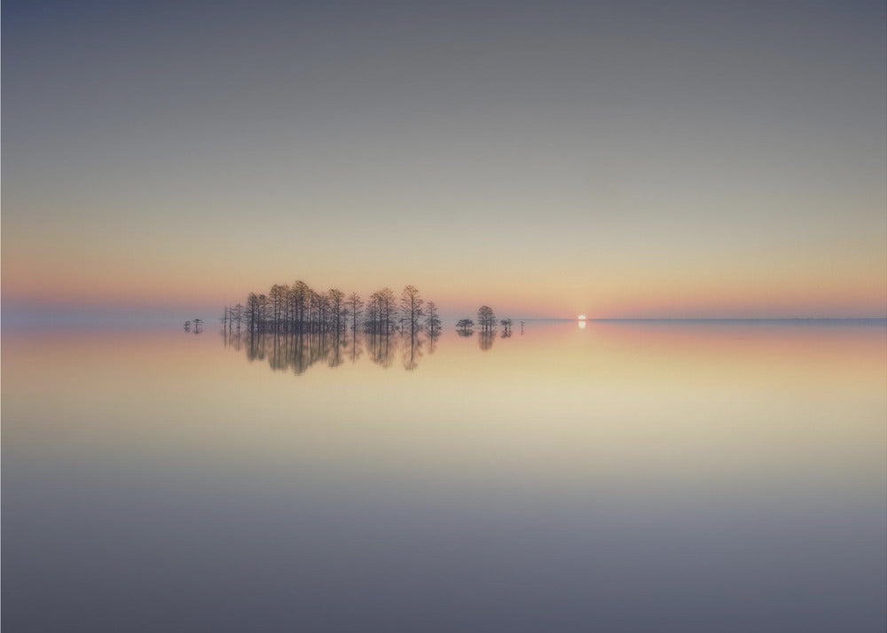 Lake Mattamuskeet-minde | Fototapeter