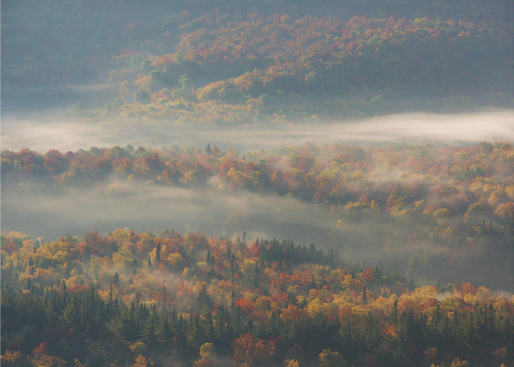Matin brumeux | Papier Peint Photo