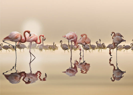 FLAMINGO'S | Fotobehang