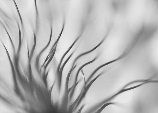 Namnlös | Fototapet