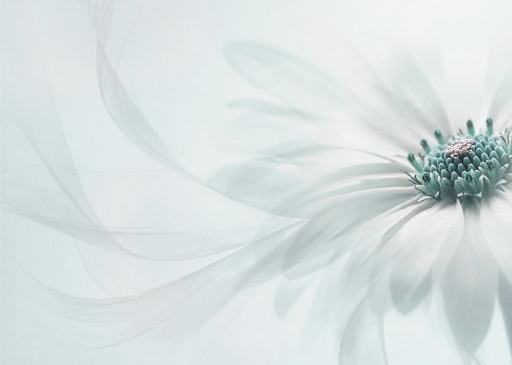 Pureza | Impresiones en Lienzo