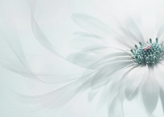 Pureza | Impresiones en Lienzo