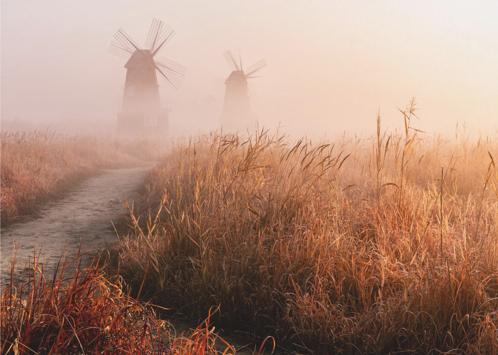 Morgondimma | Fototapet