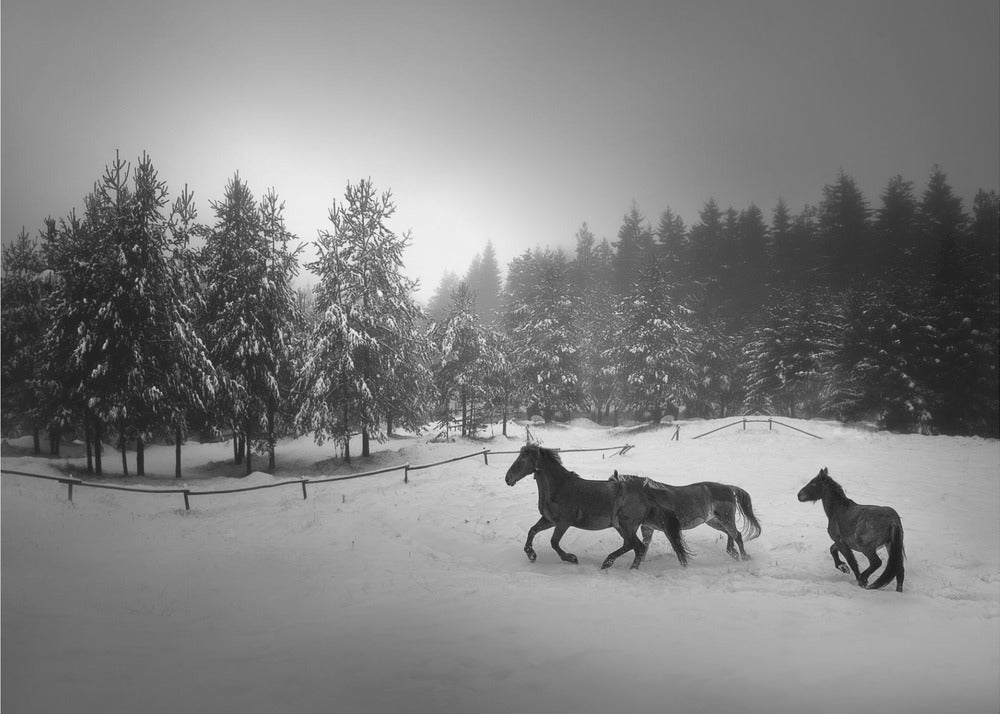 Bez tytułu | Fototapeta