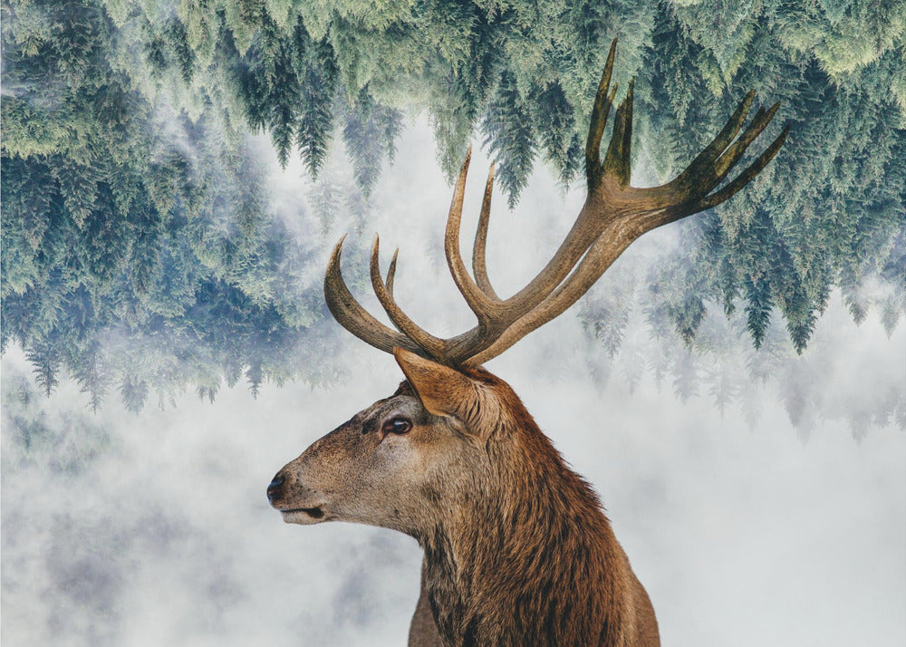 Hjorten och skogen | Fototapet